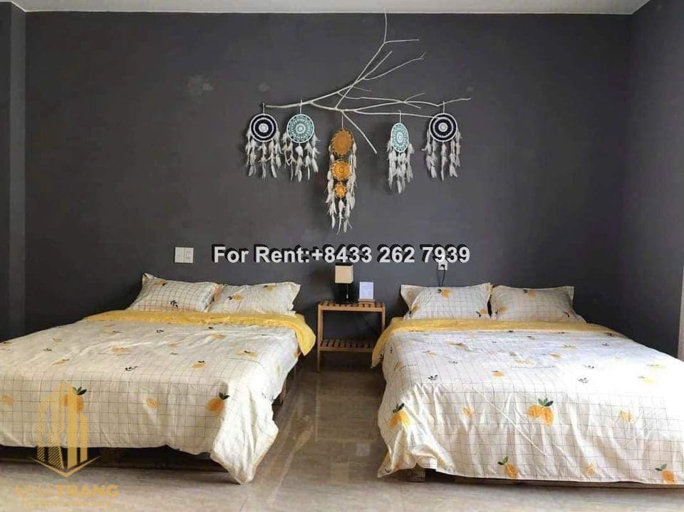 369943857_993939131921140_8031189693669922810_n