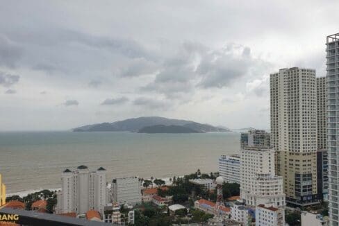 gold coast – make memories: rent a studio with city view in the gold coast – a1010